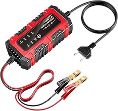 Usar un cargador mantenedor: compatibilidad con diferentes tipos de batería