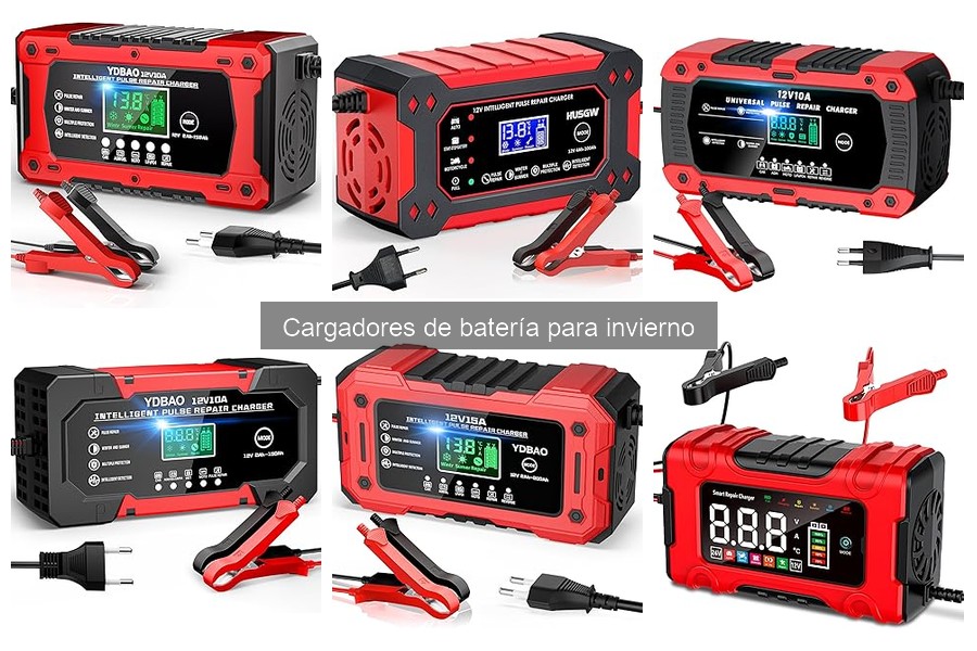 Cargadores de batería para invierno: ¿Cuánto cuestan?