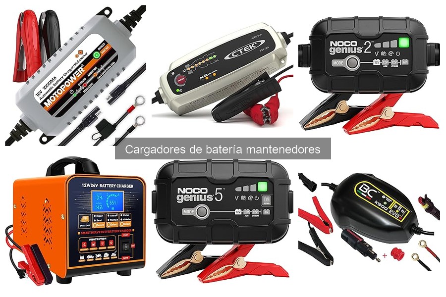Mejores cargadores de batería mantenedores para coches