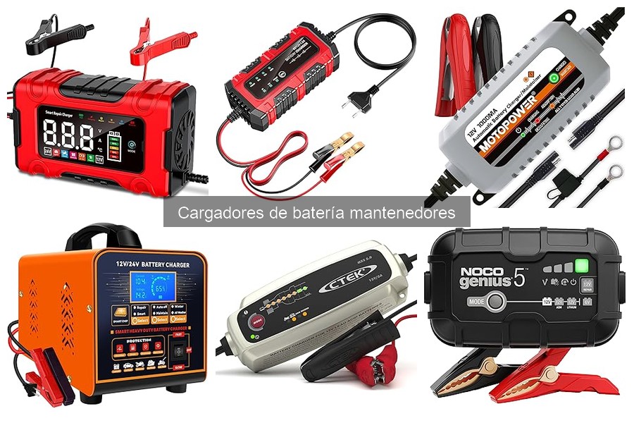 Problemas comunes con cargadores de batería mantenedores