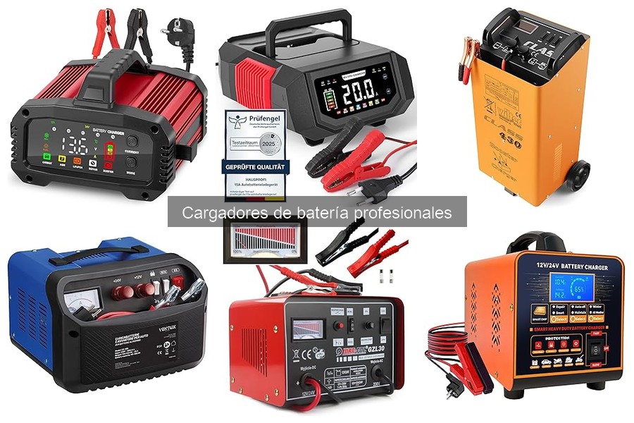 Tipos de Cargadores de Batería Profesionales para Tu Coche