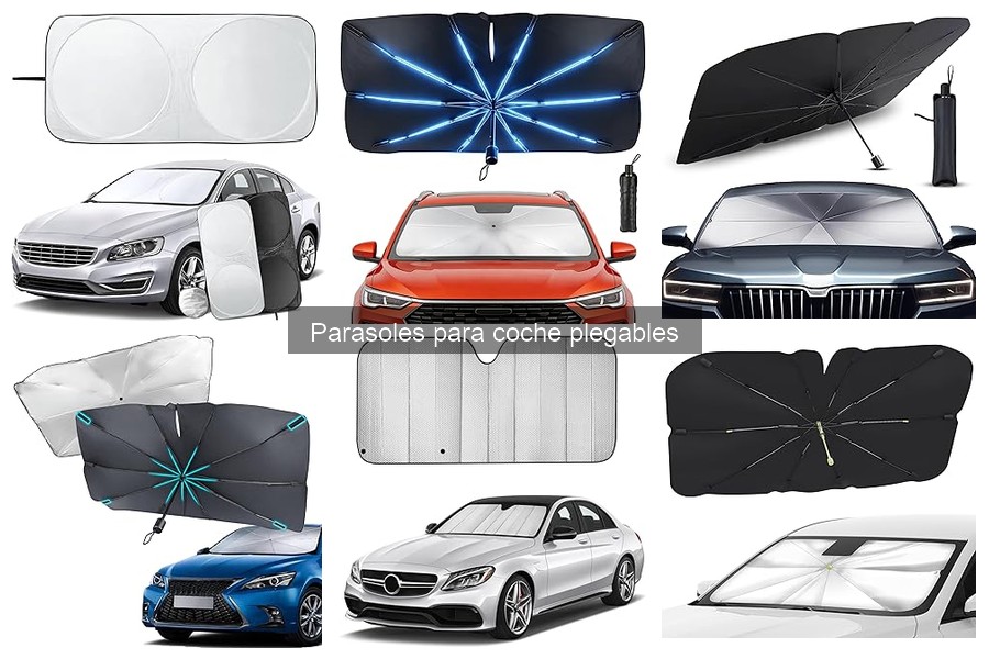 Tipos de parasoles para coche económicos: opciones y ventajas