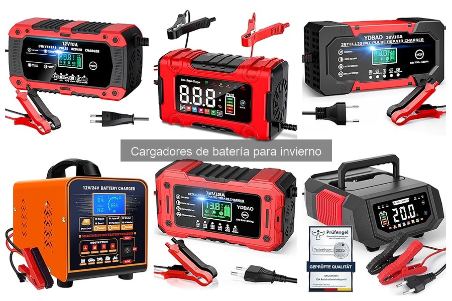 Ventajas de usar cargadores de batería para invierno